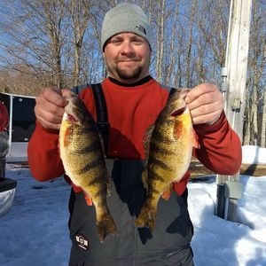 Meet your Posher, Luke